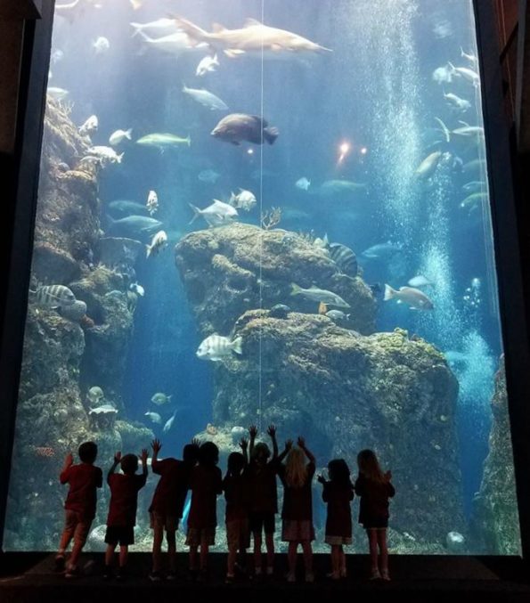 family travel in Charleston visit the aquarium