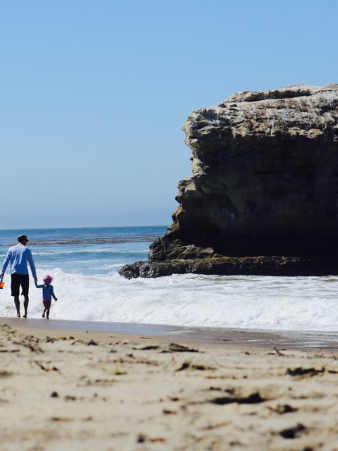 Santa Cruz with a toddler Natural Bridges Beach dads in the house